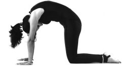 yoga cat posture