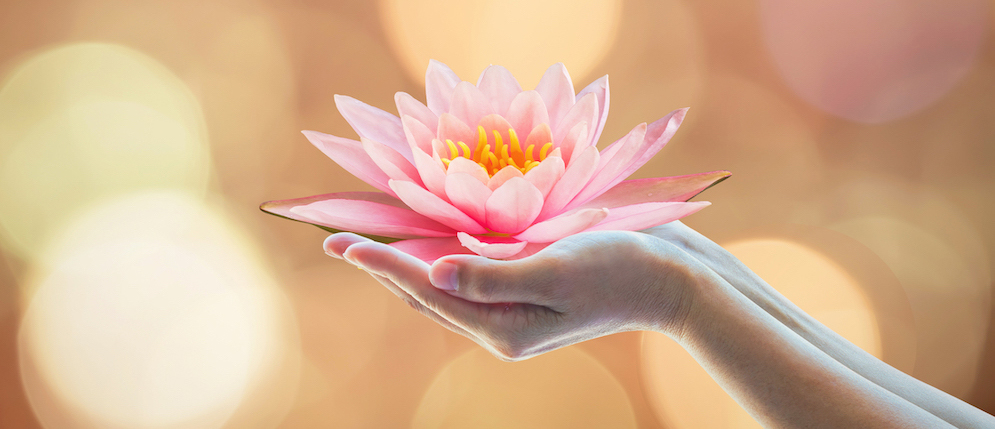 Lotus-offering-hands-1