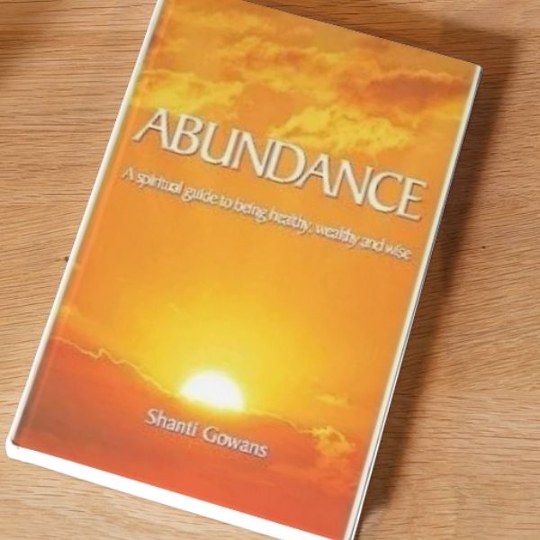 abundance book by shanti gowans
