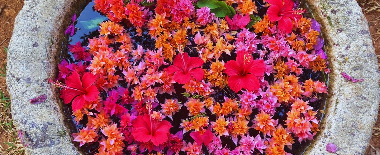 colourful flowers in a bowl of water