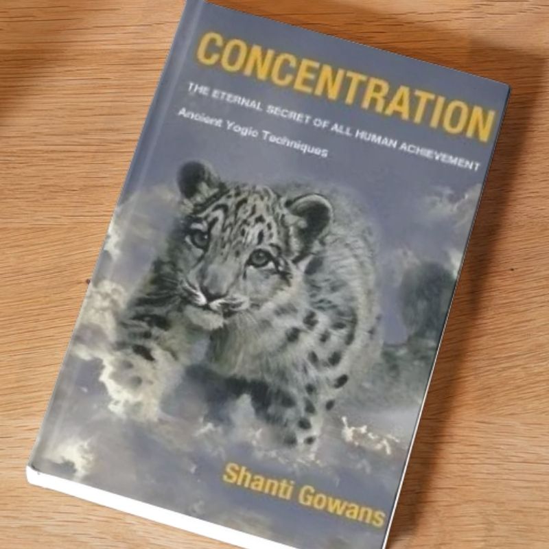 concentration a book by shanti gowans