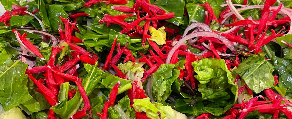 fresh ingredients from the garden in salad