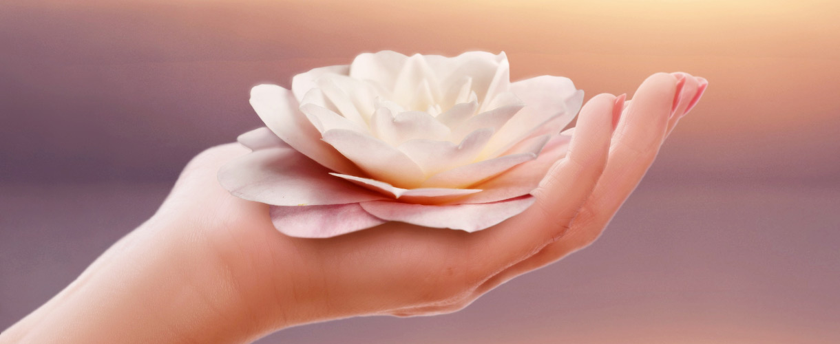 lotus flower on palm of a hand