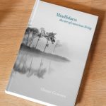 mindfulness meditation book by shanti gowans