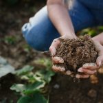 person holding garden soil in their hands