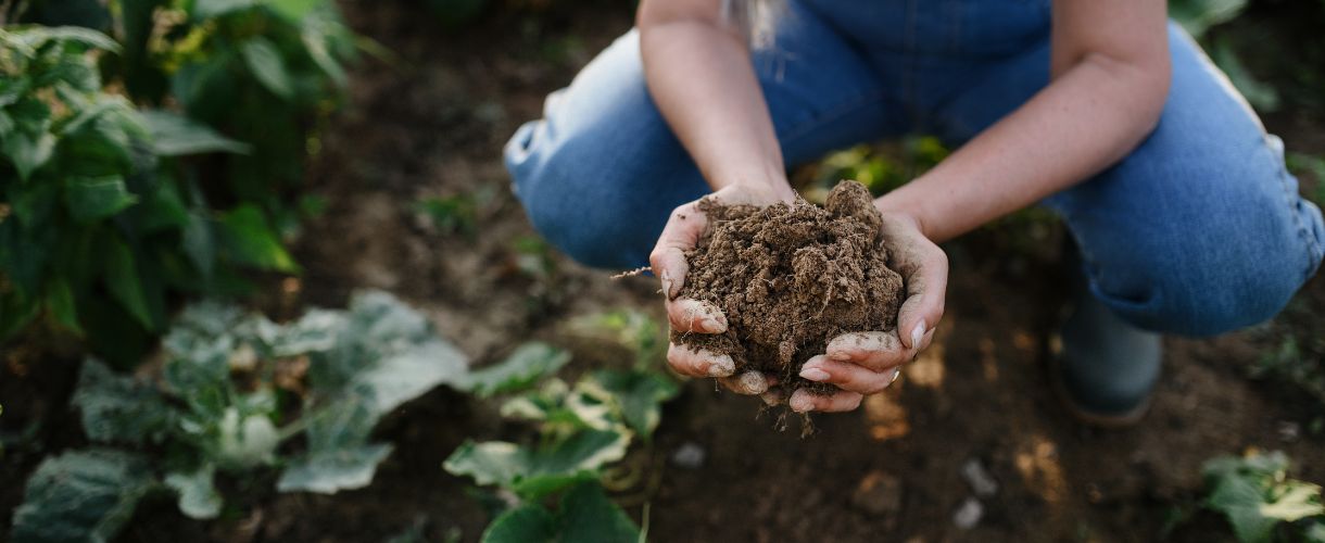 person holding garden soil in their hands