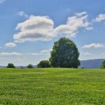 nirvana wellbeing retreat gold coast