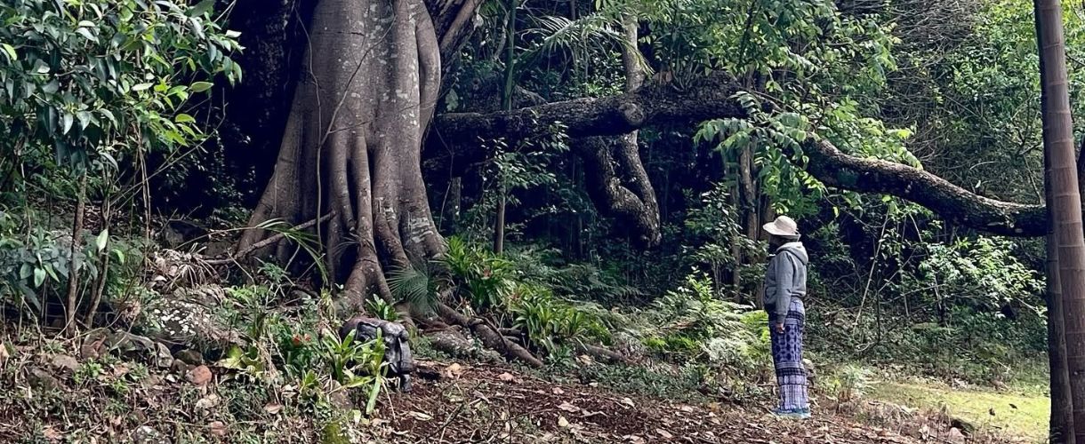 a woman attending a retreat stands and meditates near a large tree at nirvana