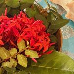table decoration in kerala, india