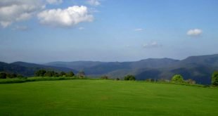 yoga retreat gold coast